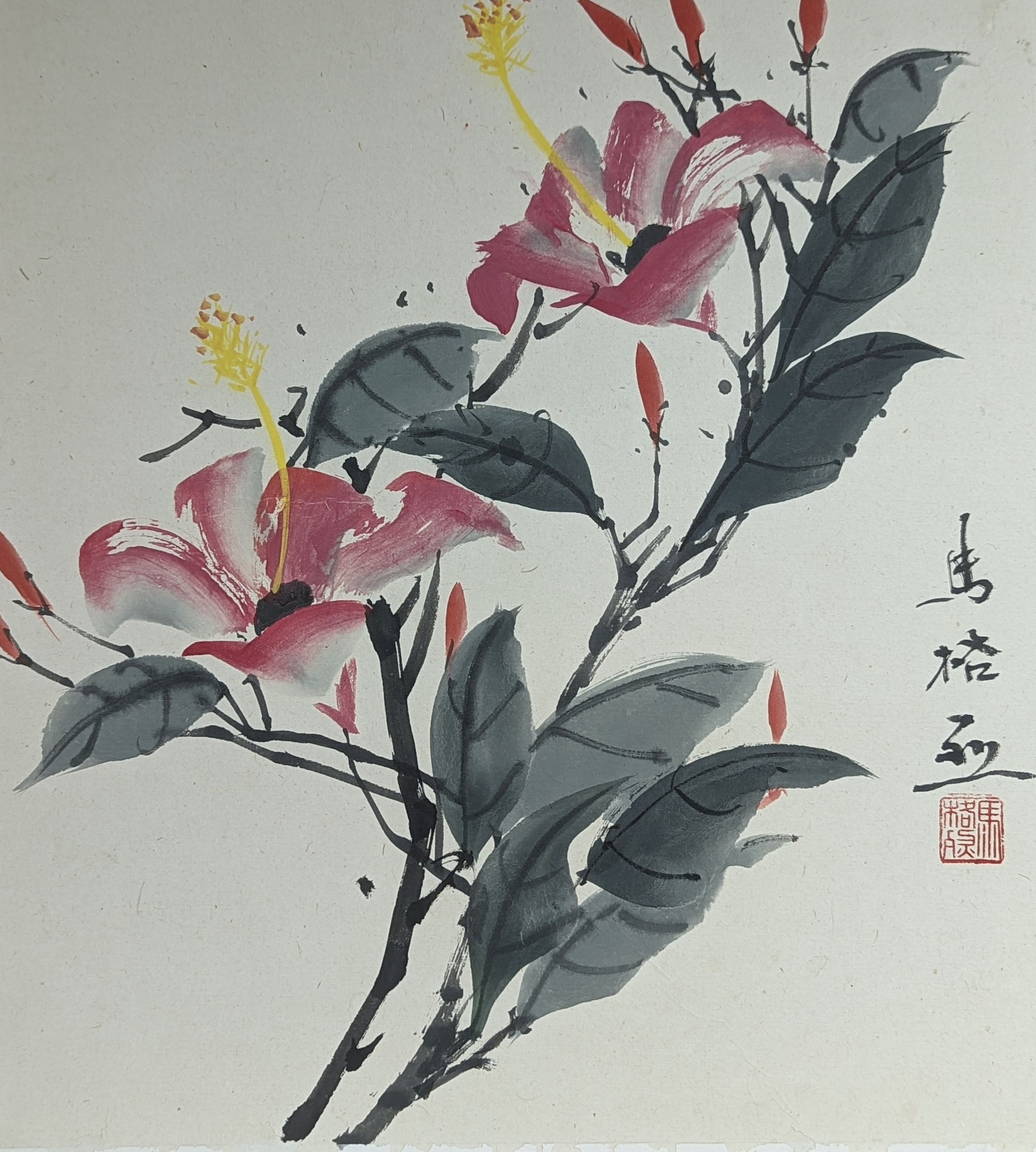 Chinese School, watercolour on paper, Study of magnolia blossom, 38 x 35cm, unframed